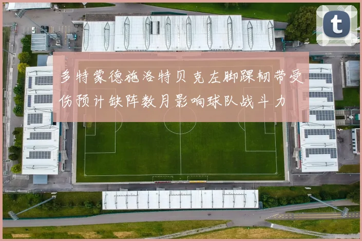 多特蒙德施洛特贝克左脚踝韧带受伤预计缺阵数月影响球队战斗力