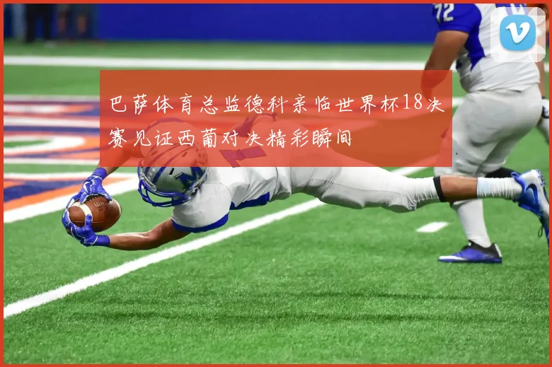 巴萨体育总监德科亲临世界杯18决赛见证西葡对决精彩瞬间