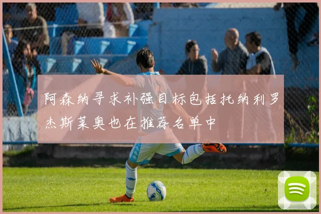 阿森纳寻求补强目标包括托纳利罗杰斯莱奥也在推荐名单中