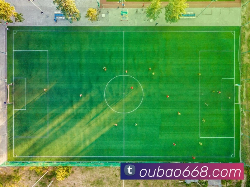 欧宝平台平台生态图