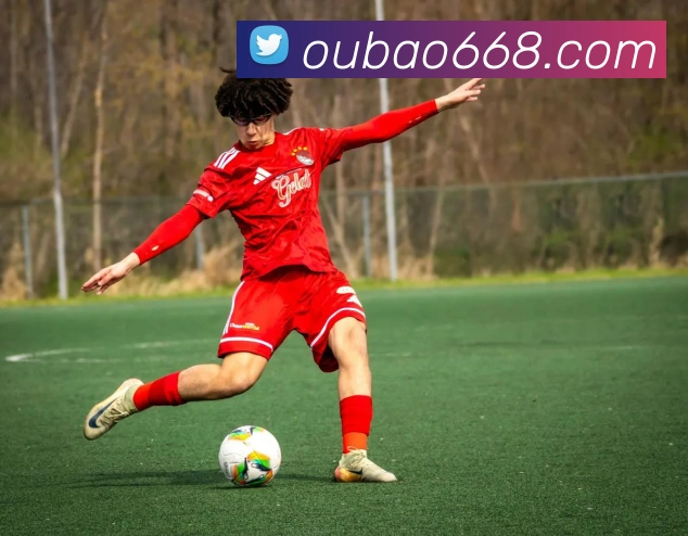 欧宝平台全站App